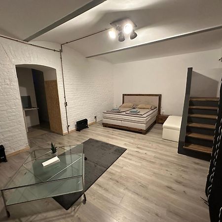 شقة Atelier - Loft Schoenbrunn فيينا المظهر الخارجي الصورة